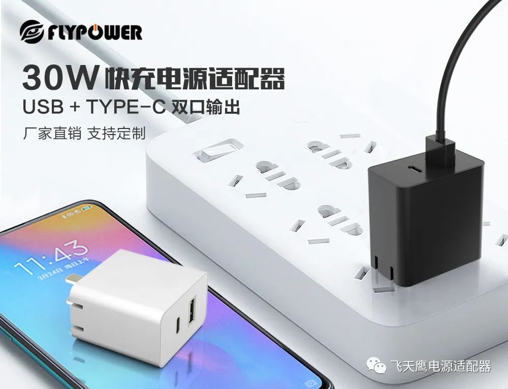 30WPD充電器